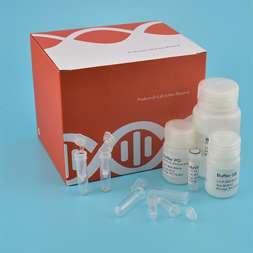 Kit ADN Genomic pentru Sol (Coloana Spin)