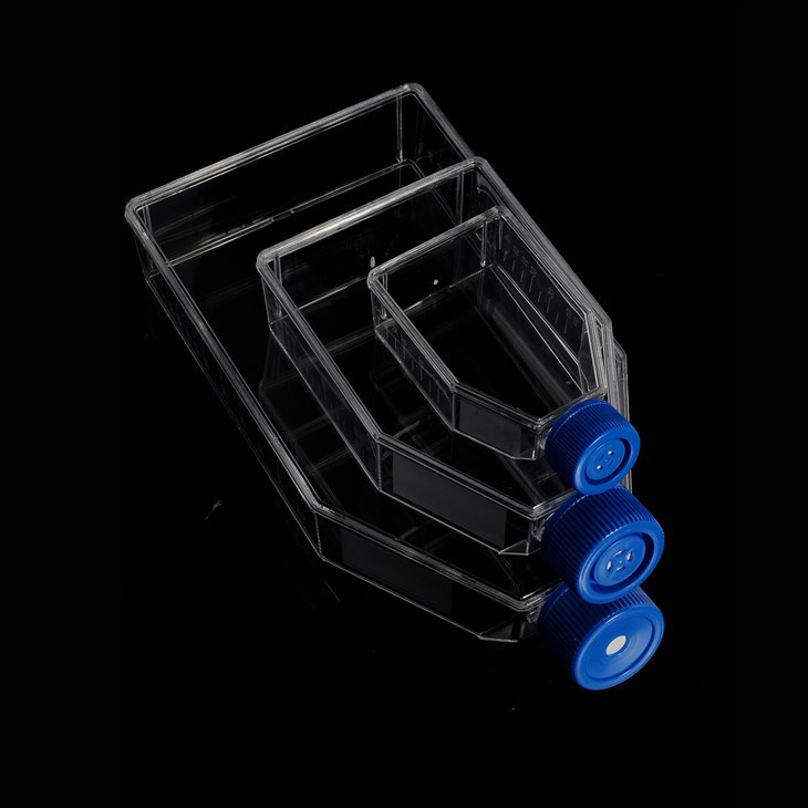 Cell Culture Flask